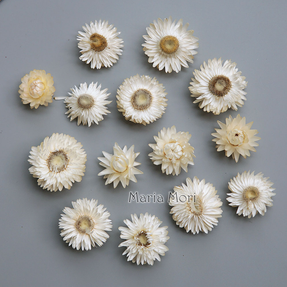 Candle Making Experience - Natuurlijke Gedroogde Kleurrijke Chrysanthemum Krans Handgemaakte